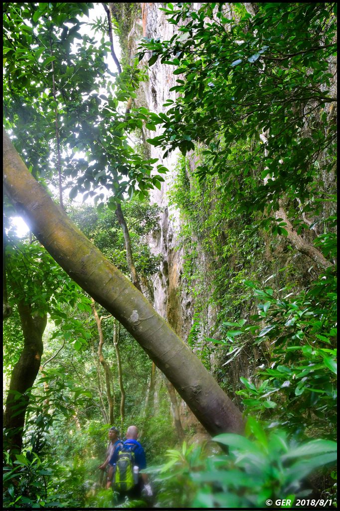 直擊 五寮尖山 の 仲夏岩場_376765