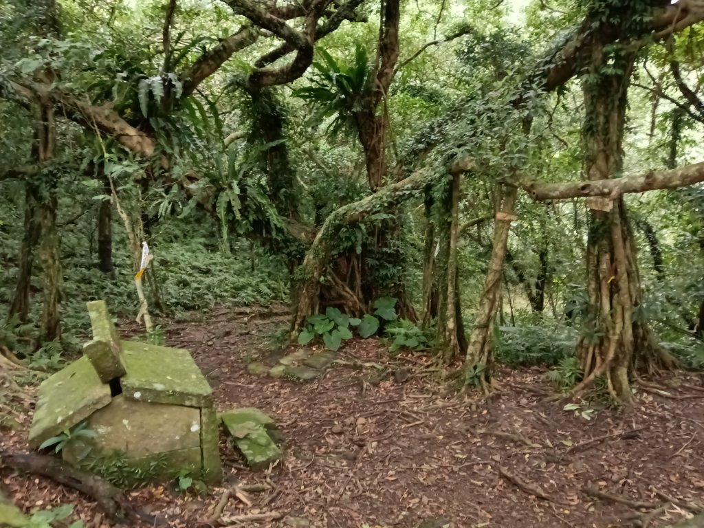 頭城鎮石城車站+隆嶺越嶺古道+隆嶺溪畔古道+福隆車站封面圖
