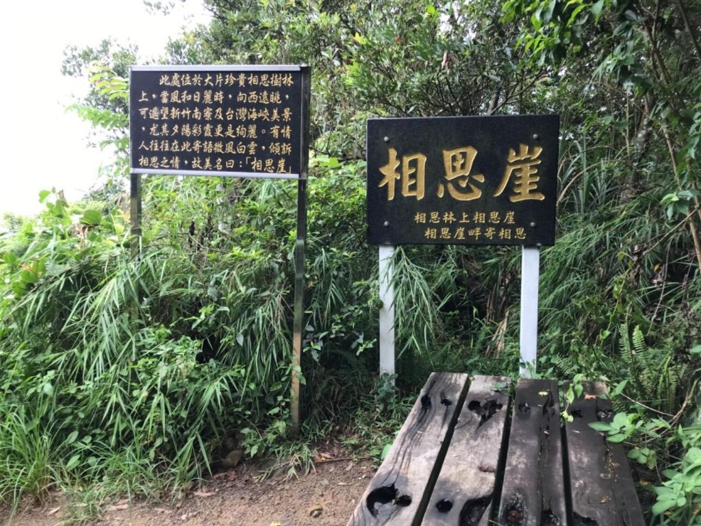 飛鳳山觀日坪連走中坑山_388317