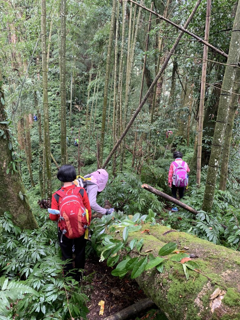 20251220嘉義凸龜山-芙蓉山-天福山_2973798