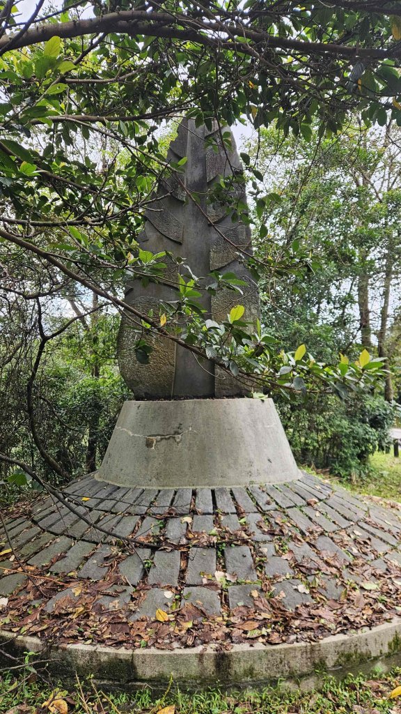 20251115冷水大山-頂中股山_2936652