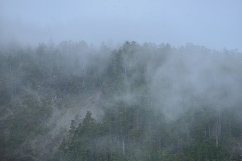 玉山主峰步道_1756364