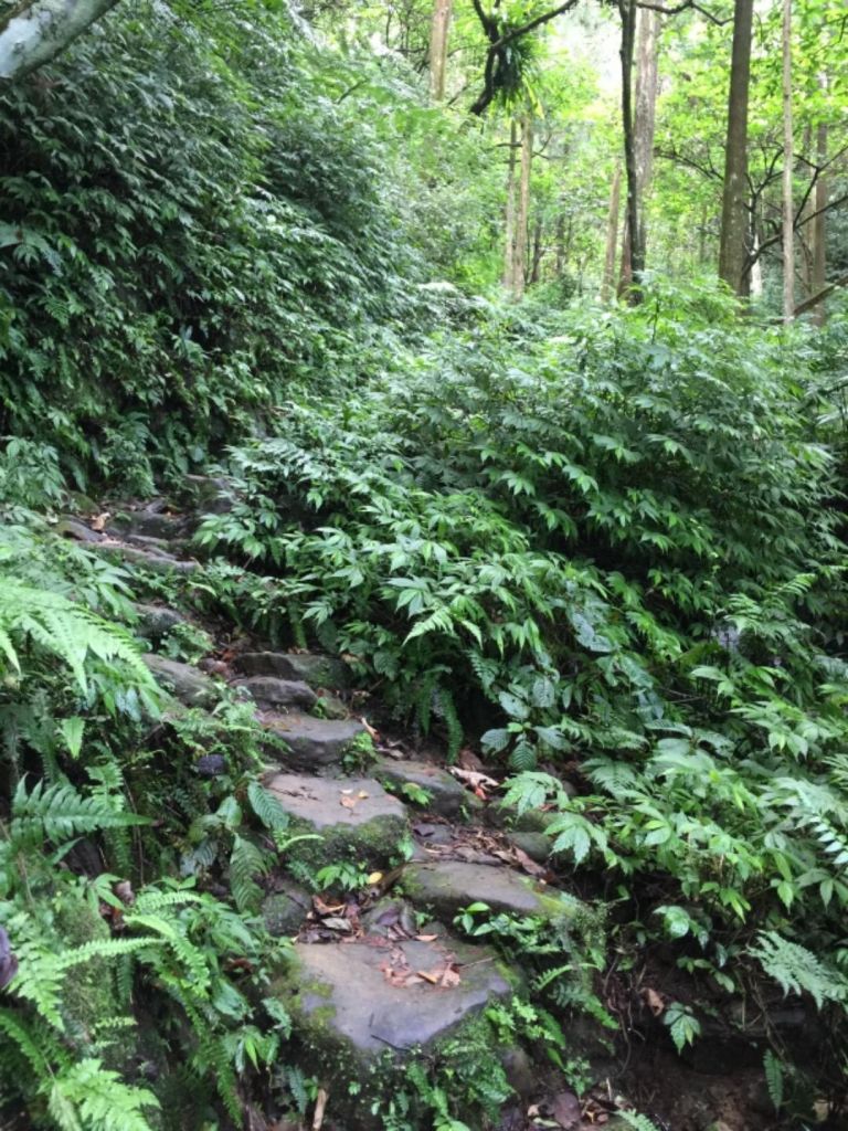 第三登山口-鞍部-二格山，南邦寮_390580