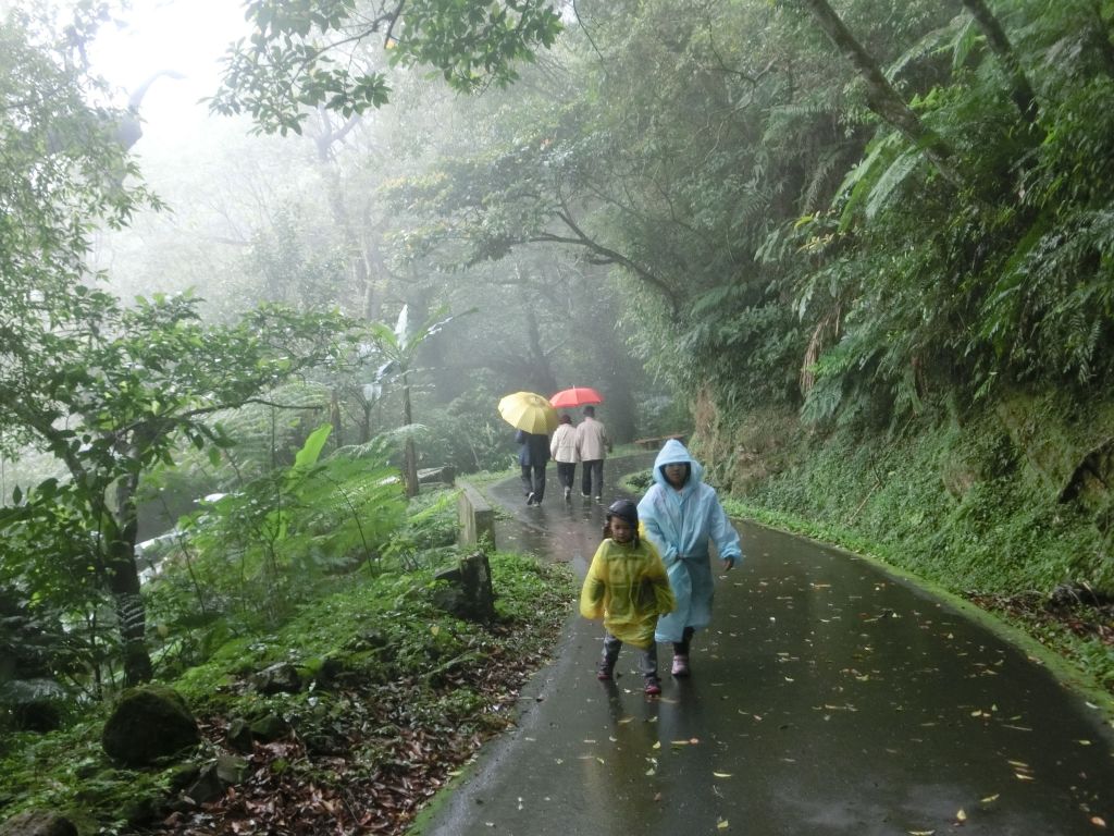 百吉林蔭步道．慈湖頭寮_221569