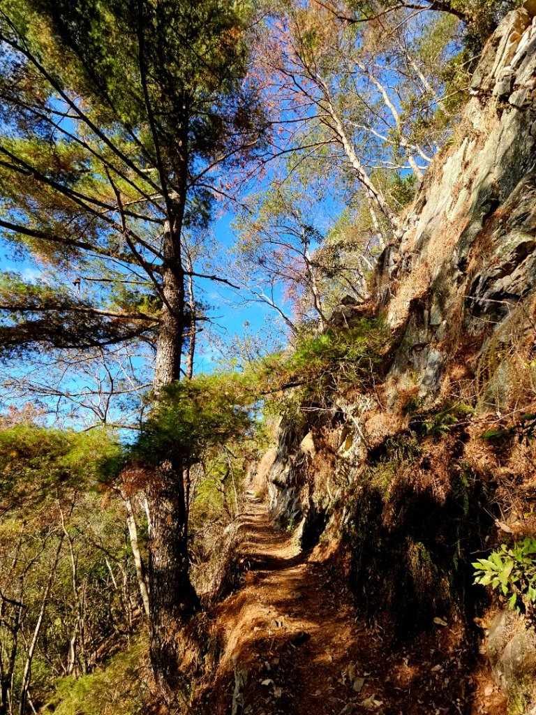 東卯山-谷關七雄(老五)_2991582