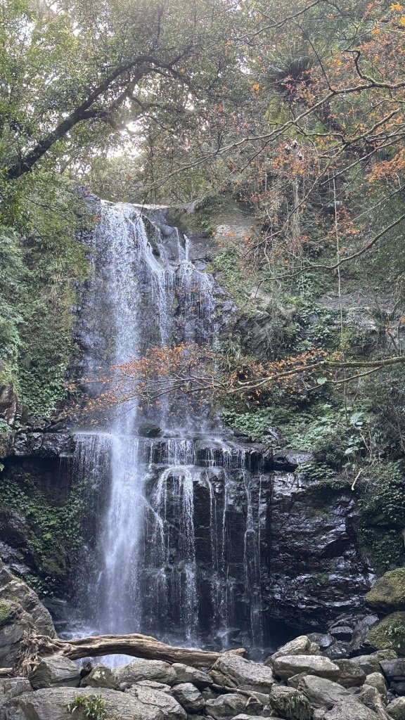 20260117三峽雲森瀑布封面圖
