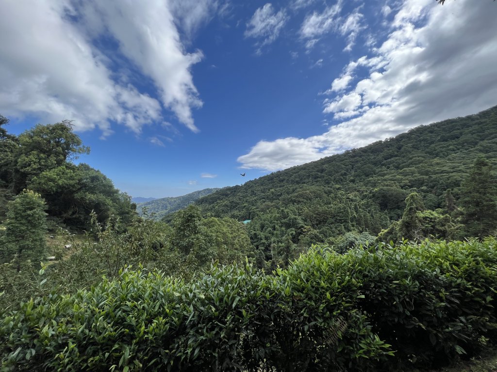 2023-08-13 馬那邦山（馬拉邦山）_2251250