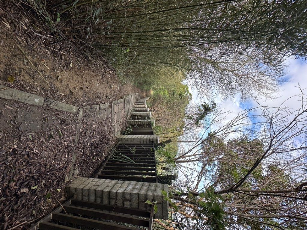 苗栗三灣-龍峎頂古道_2623355