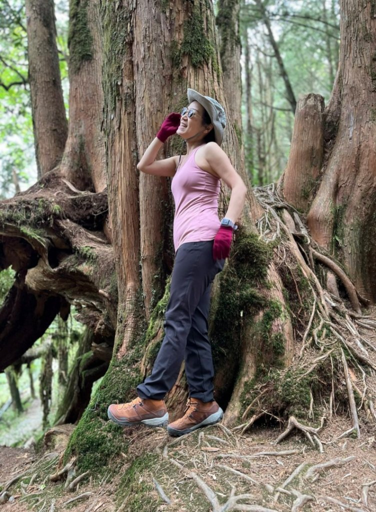 小百岳最高峰-大塔山_2153658