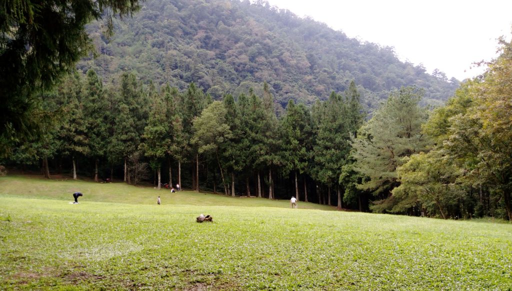 八仙山步道群_131537