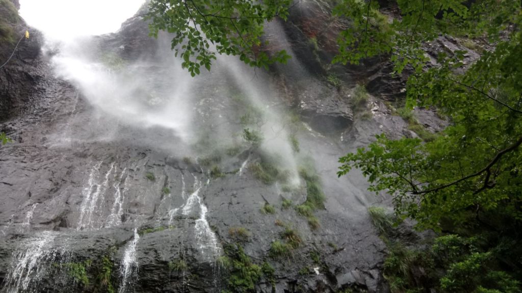 陽明山國家公園最大的瀑布「阿里磅瀑布」_406726