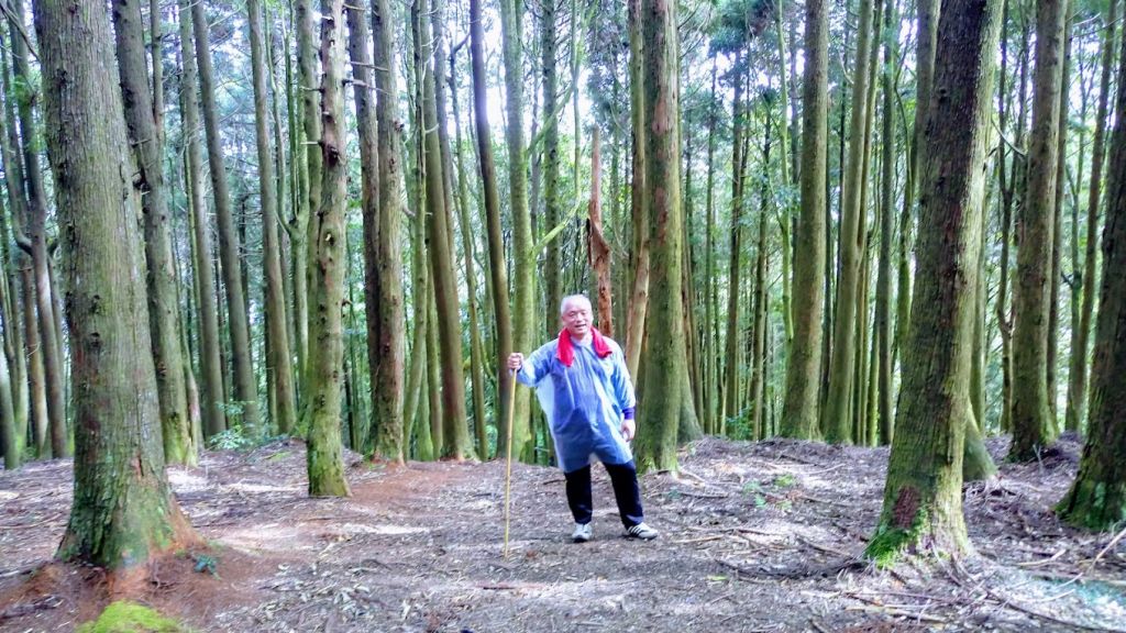 觀霧的雲霧步道與巨木步道_218289