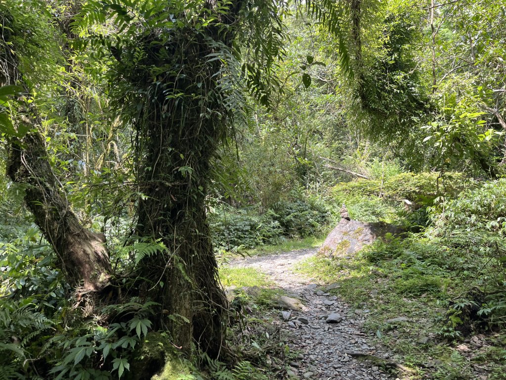 2025_0713 松羅步道_2836784