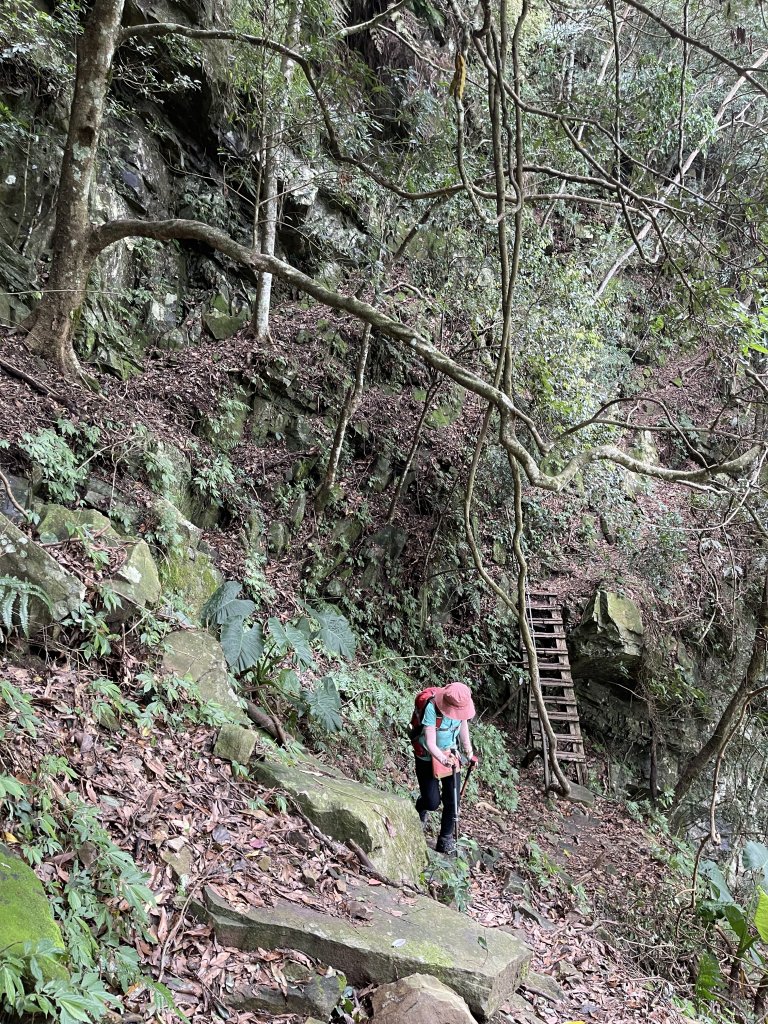 鳥嘴山(上島山) 20230813_2247115