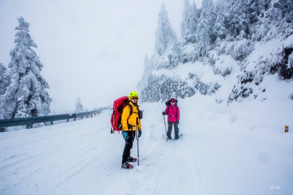 合歡山 雪地健行_265875