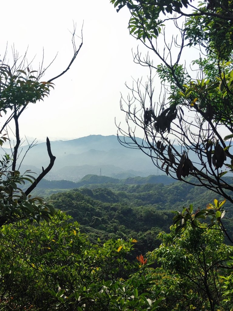 基隆車站-樂利山-基隆燈塔白米甕砲台球子山燈塔仙洞巖封面圖