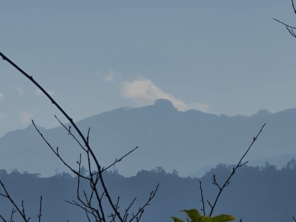 油山o行走 第一登山口上第二登山口下封面圖