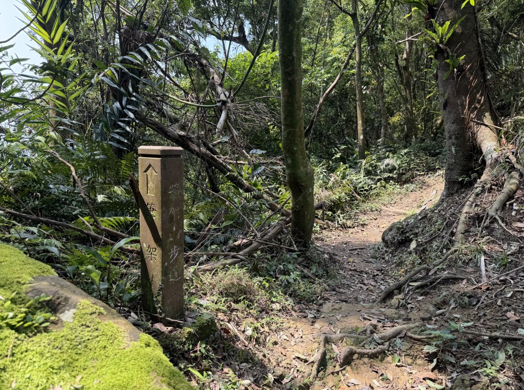 [微笑山線_第八段] 2026_0411 二格山系_筆架山北峰_3035132