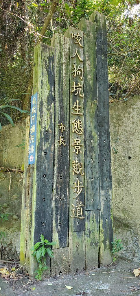 2021-11-14咬人狗坑登山步道(三汀山)_1515117