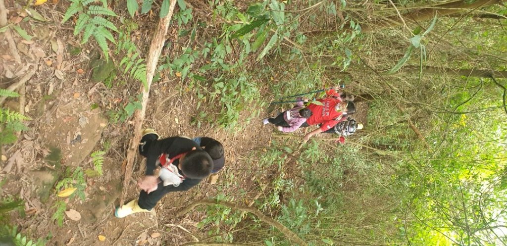 逃學步道＞騎龍山＞騎龍古道_1633535