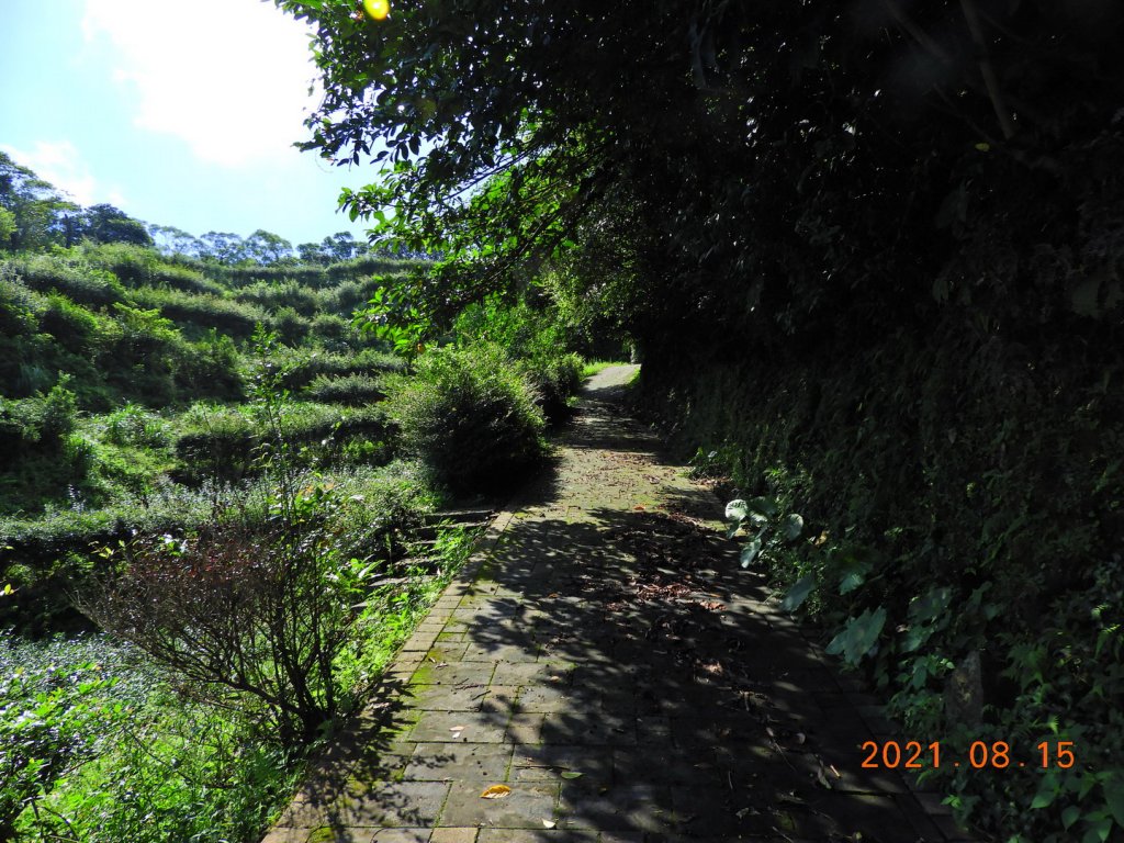 新北 石門 茶山步道、金寶山_1436899