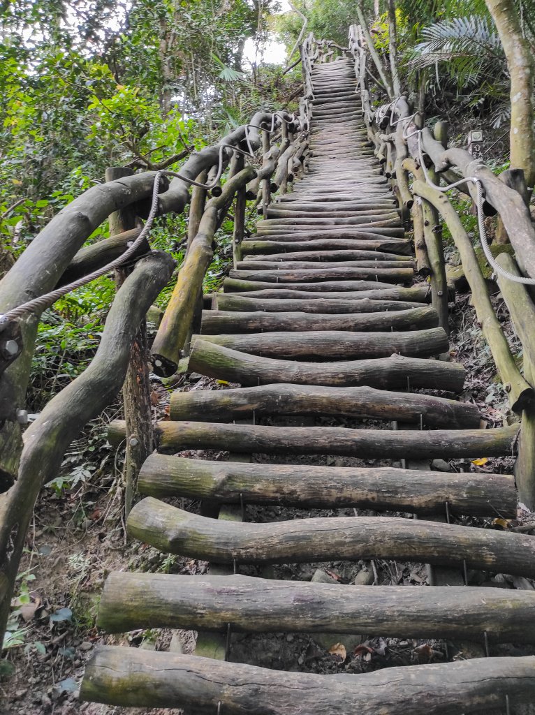 大坑1.5.2號登山步道_1879731