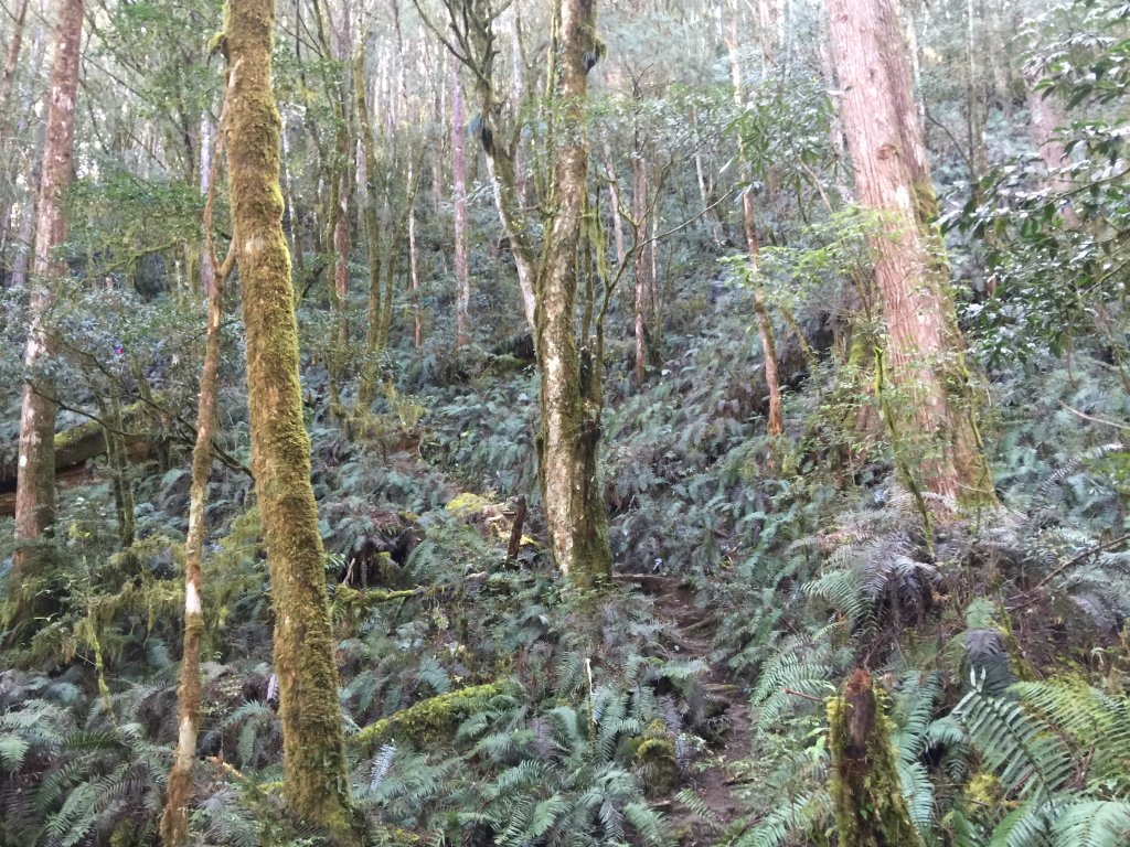 散落的珍珠-加羅湖_565215