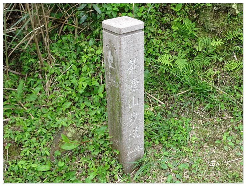 無耳茶壺山(新北、瑞芳)_2107652