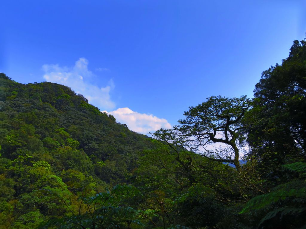 漫步大崎頭步道 一探台北市梯田美景_290921
