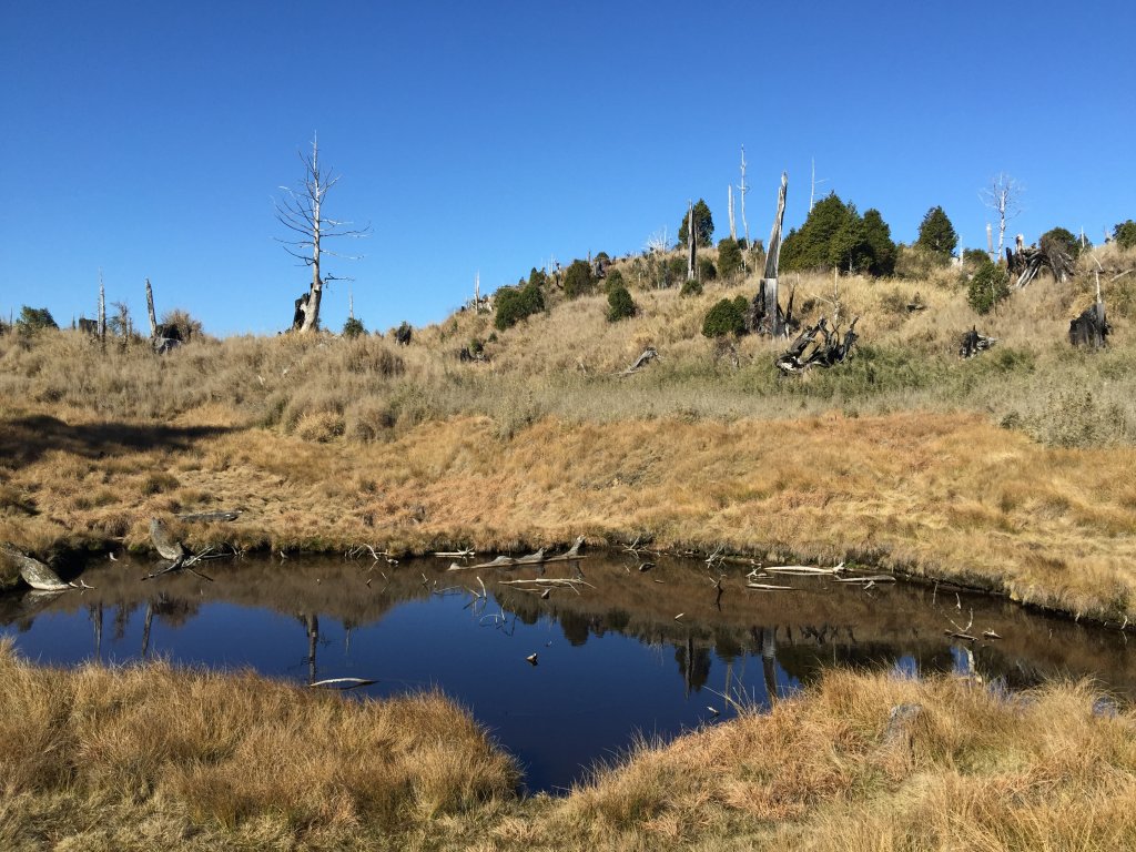 散落的珍珠-加羅湖_565072