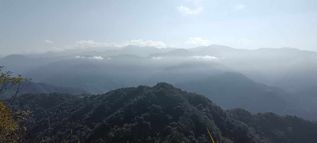 20240224_馬那邦山、細道邦山步道_2436124