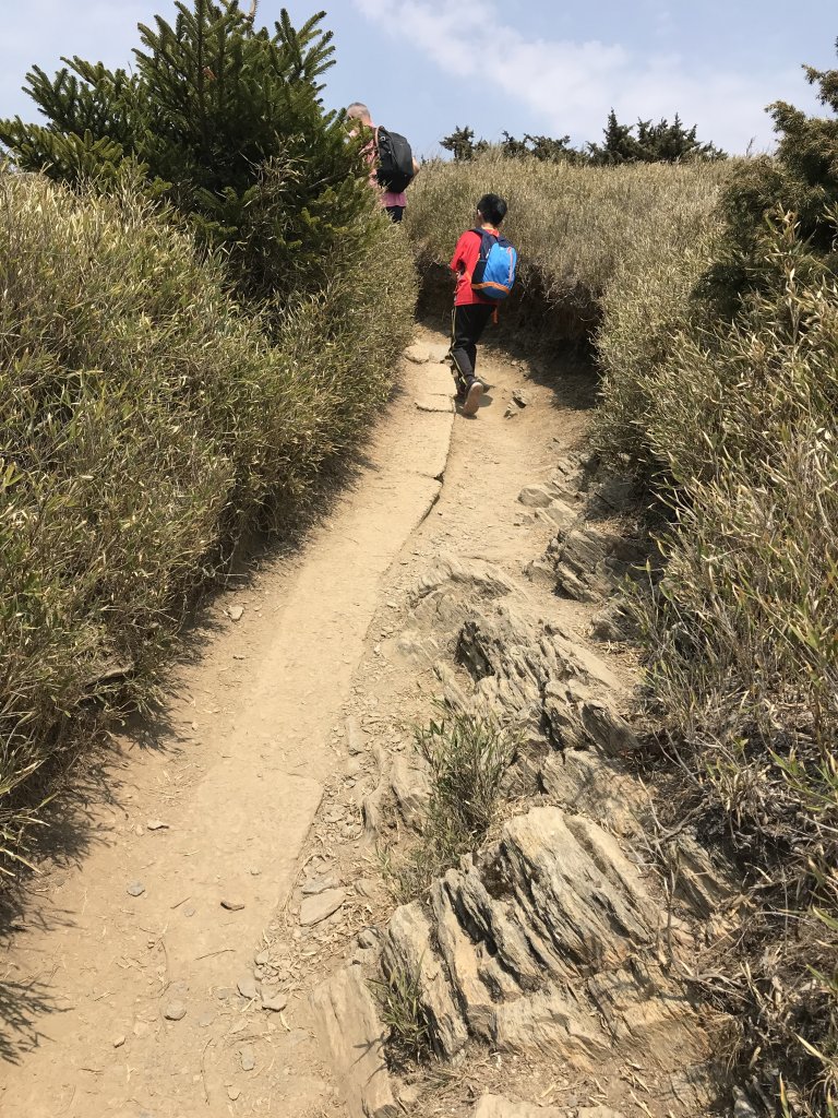 110年4月3日南投  合歡山石門山步道_1456479