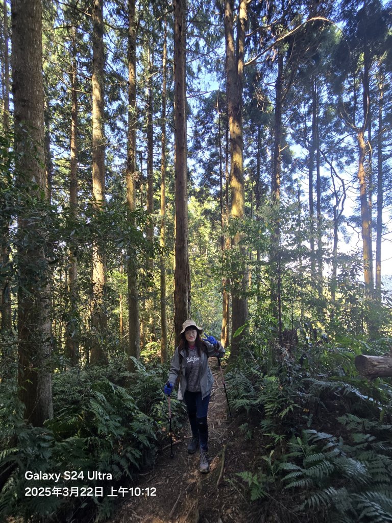 2025-03-22油羅山步道_2743398