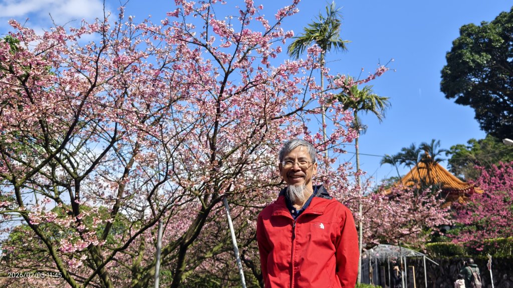 天元宮了嗎？2/3&10_2992673