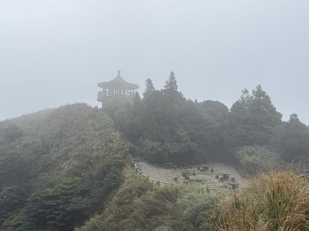 七星山 冷水坑上小油坑下環七星山人車分道O繞 20251108_2934886