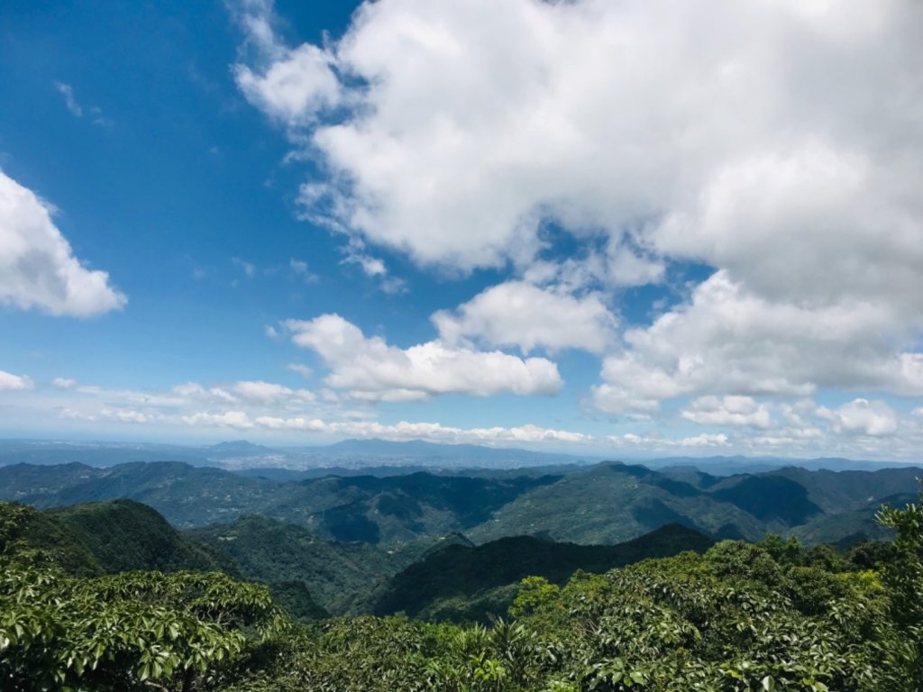 東眼山自導式步道_676816