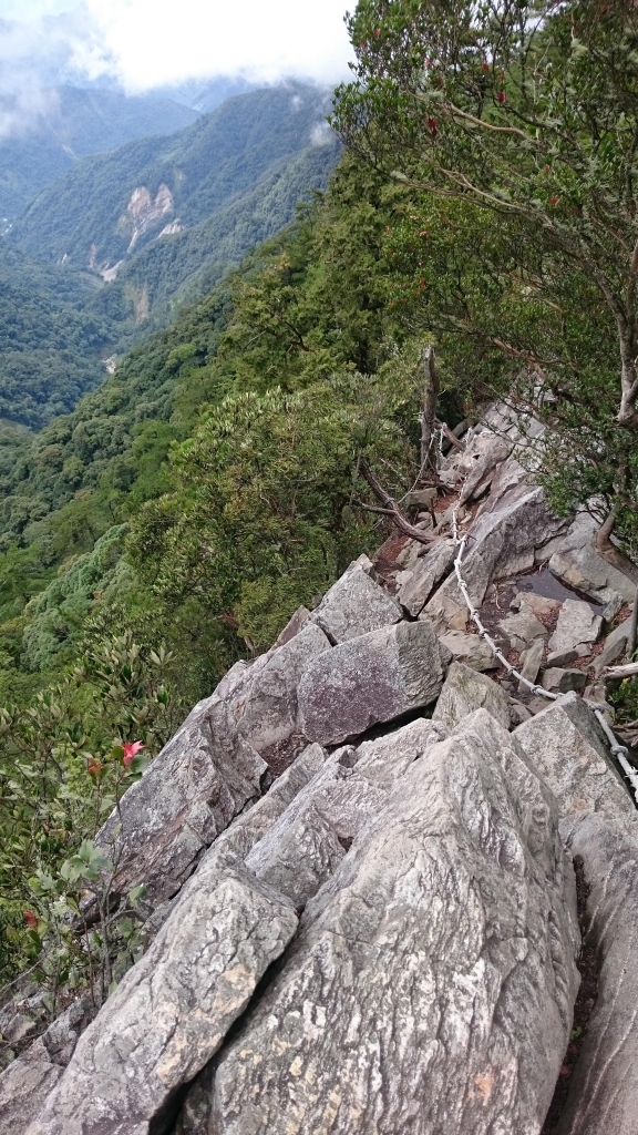 鳶嘴山步道_24408