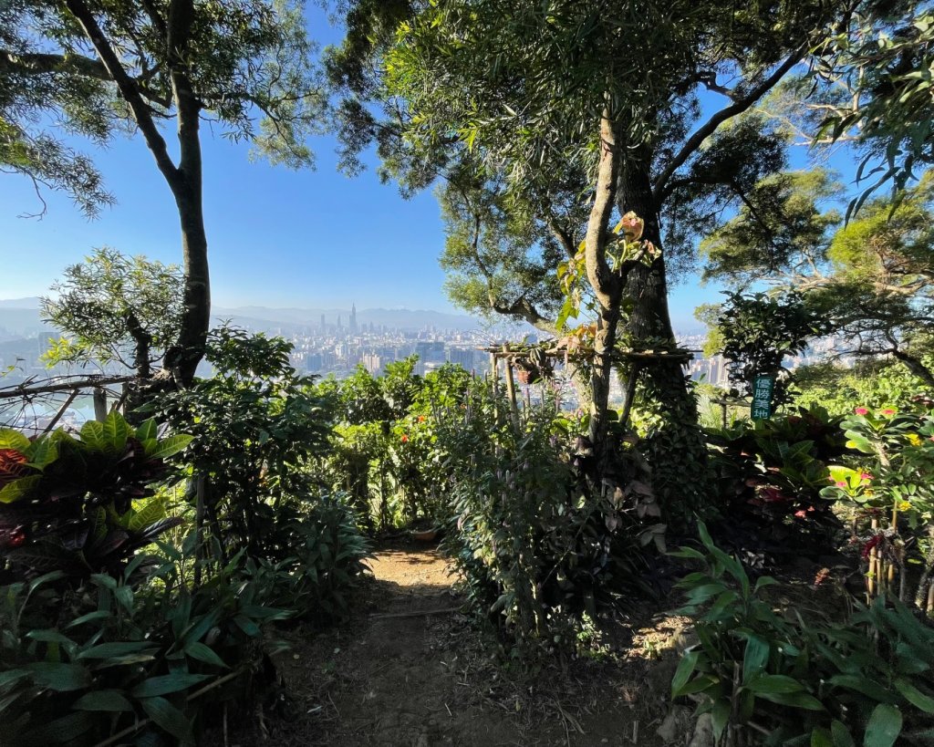 雙湖賞櫻🌸雙獅縱走🦁大小金面山_2944005