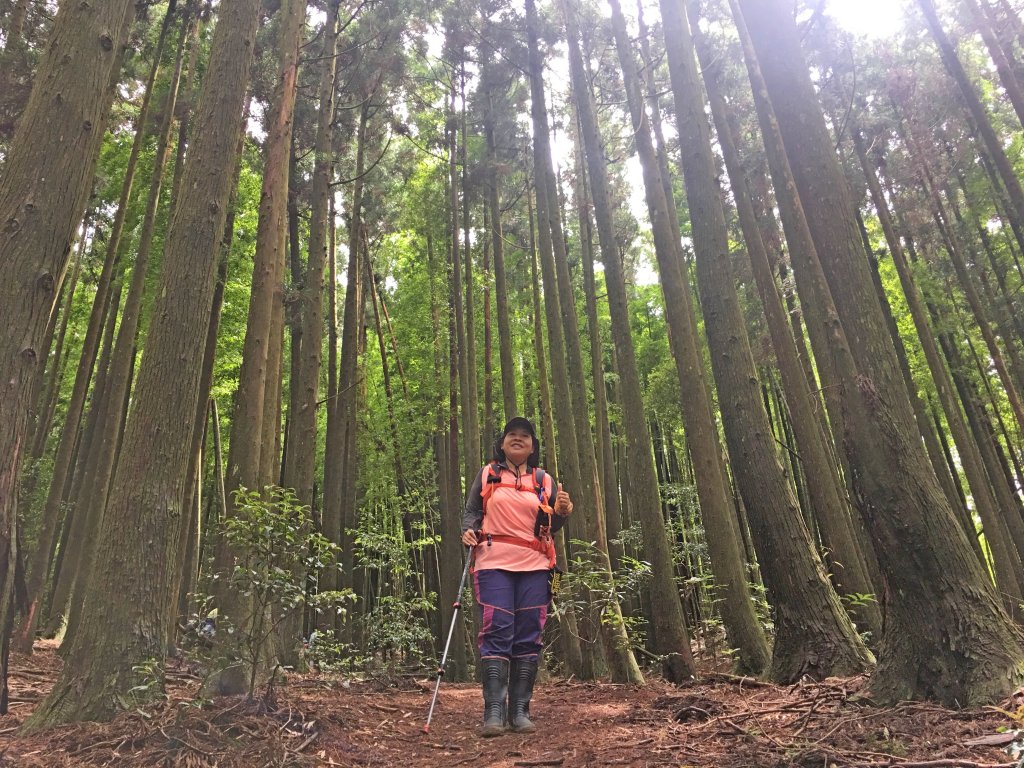 大雪山大崠山避暑趣2019/7/21_634465