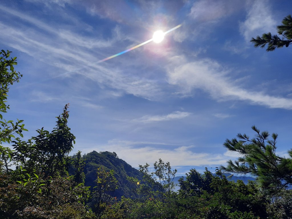 加里山 杜鵑嶺 鐵道 大O型 大坪上_1053401