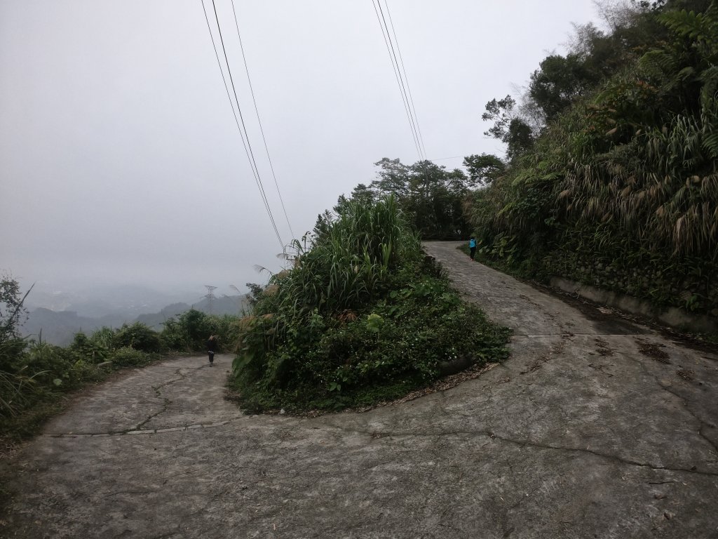 【雲林-嘉義】挑筍古道，車心崙步道_897730