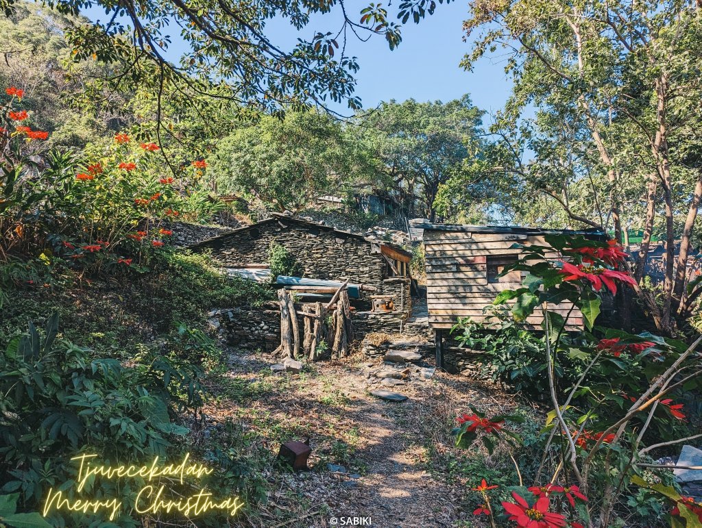 【排灣，Tjuvecekadan】埋藏在綠色叢林中的寶藏- 老七佳_2401193