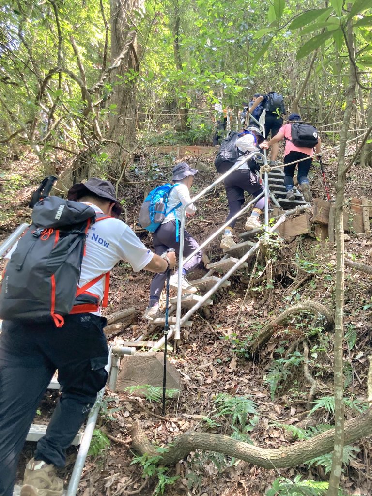 年輕人爬山趣～東卯山 6/3 2023_2178975
