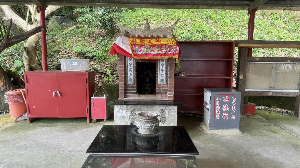 20240429 桃園復興枕頭山薑母島_2492249
