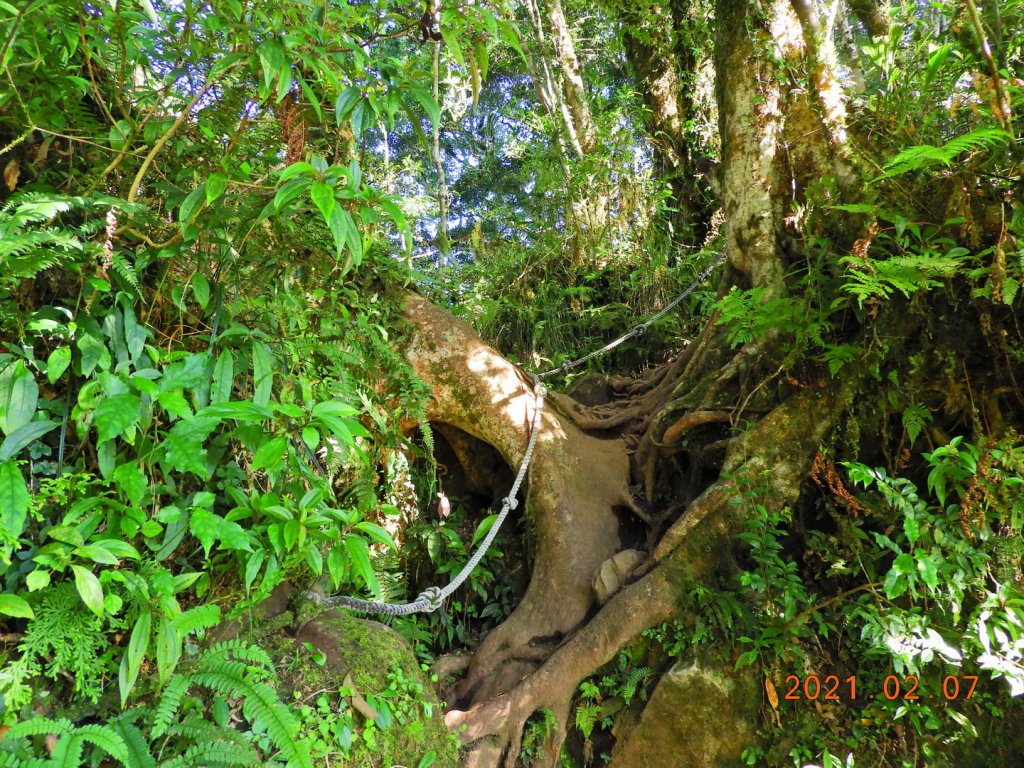 臺東 東河 都蘭山_1262043