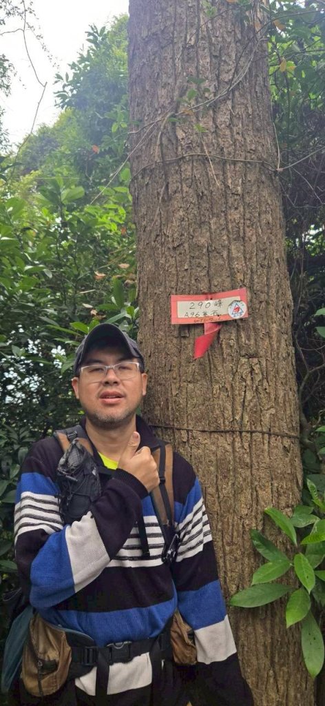 20260127流水蓮華-飛沙縱走-坑尾山南稜_2992572