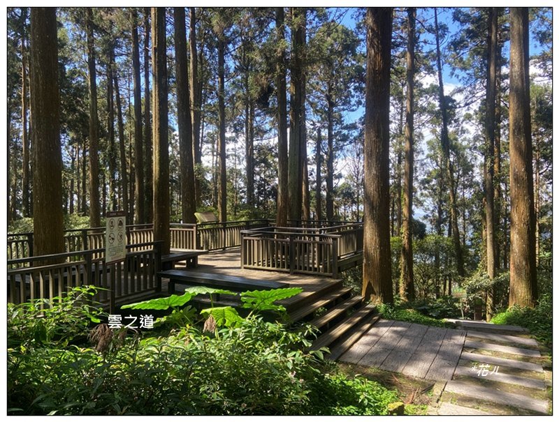 頂石棹步道群、樂野山、霹靂山 d型路線_2749212