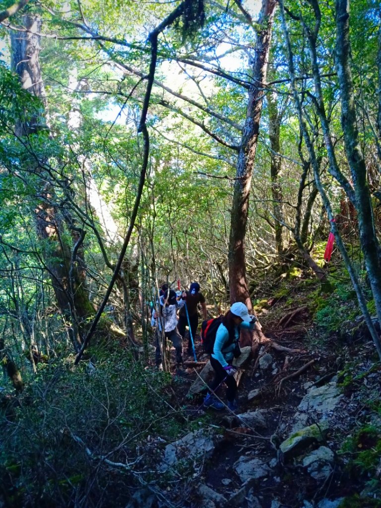 20220227_庫哈諾辛山_1621000