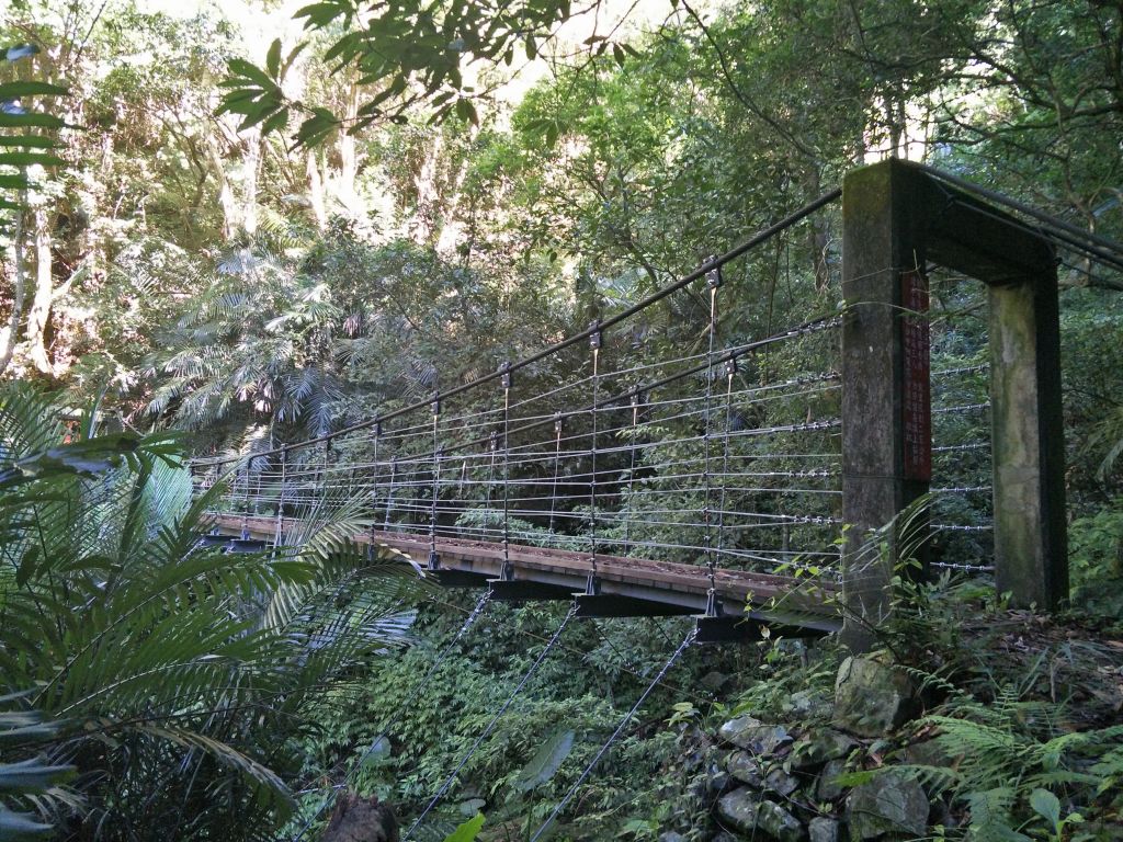 東卯山東南稜串德芙蘭步道_364258