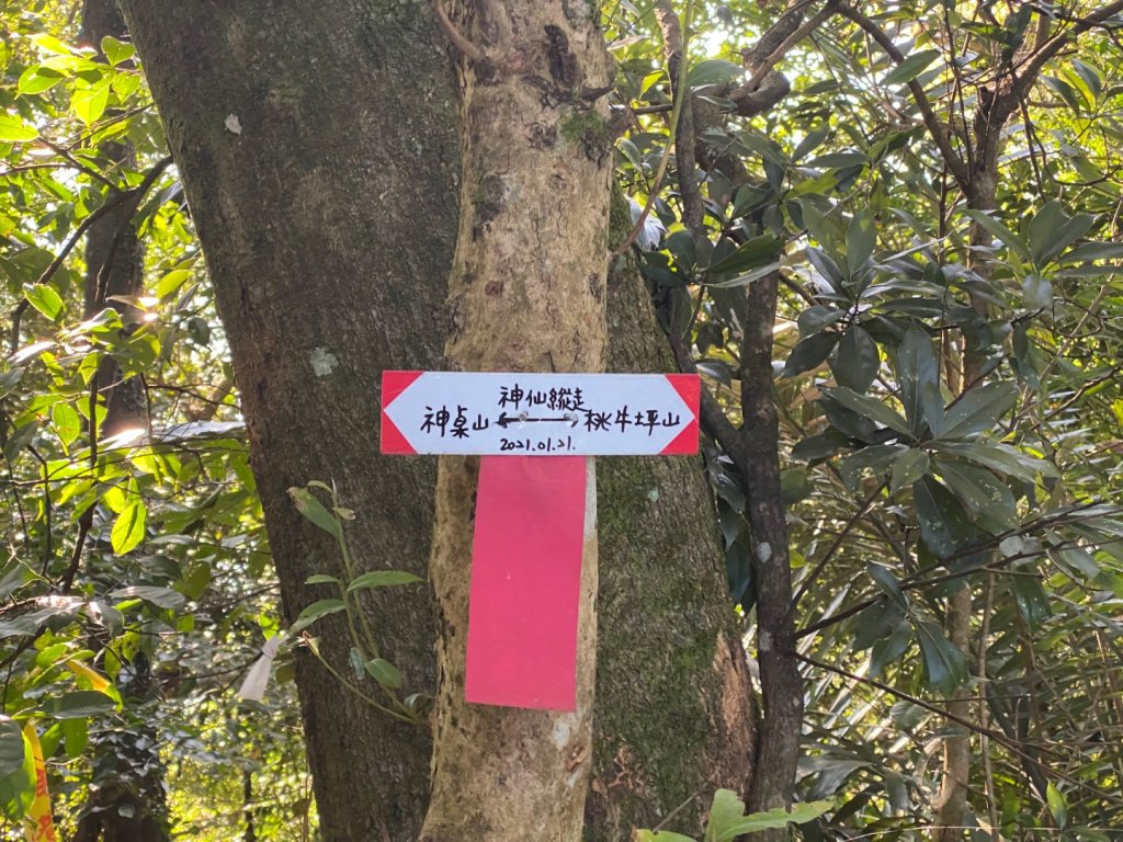 033仙山(神仙縱走）_2604262